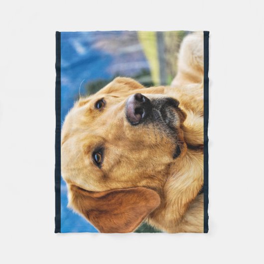 Goldenes Labrador retriever Fleecedecke (Vorderseite)
