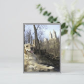 Goldenes Lächeln im Central Park Ramble Postkarte (Stehend Vorderseite)