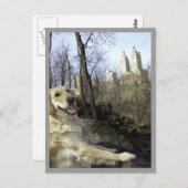 Goldenes Lächeln im Central Park Ramble Postkarte (Vorne/Hinten)