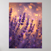 Goldenes Lavendelfeld-Wandkunst-Druck Poster (Vorne)