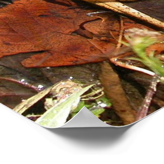 Goldenes Leaf Poster (Ecke)