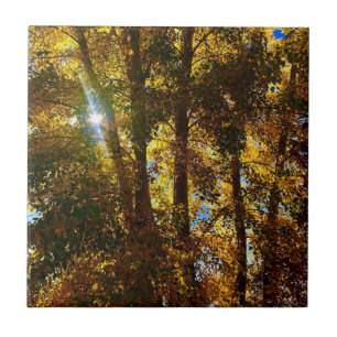 Goldenes Licht Fliese