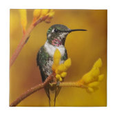 Goldenes Licht Fliese (Vorderseite)