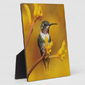 Goldenes Licht Fotoplatte (Seite)