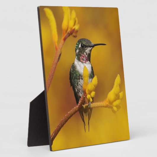 Goldenes Licht Fotoplatte (Seite)