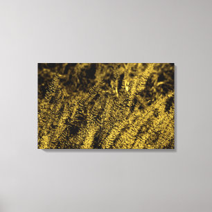 Goldenes Licht Gras Leinwanddruck