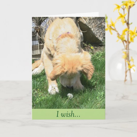 Goldenes Löwenzahn-Wunsch-Beileid Karte (Gelbe Blume)