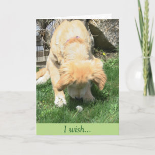 Goldenes Löwenzahn-Wunsch-Beileid Karte