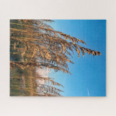 Goldenes Meer Oats Beach Anastasia Staat Park Puzzle (Horizontal)