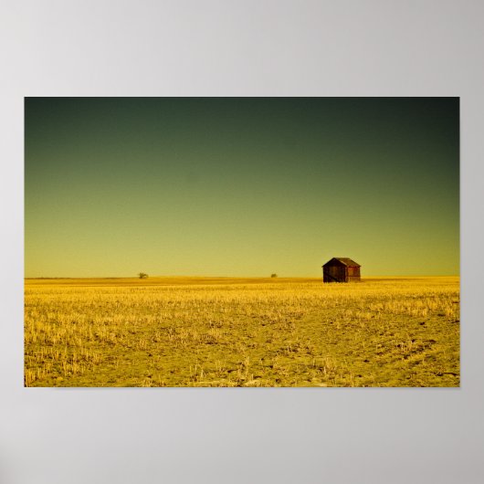 goldenes Nichts Poster (Vorne)