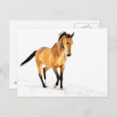 Goldenes Pferd im Schnee Postkarte (Vorne/Hinten)
