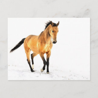 Goldenes Pferd im Schnee Postkarte