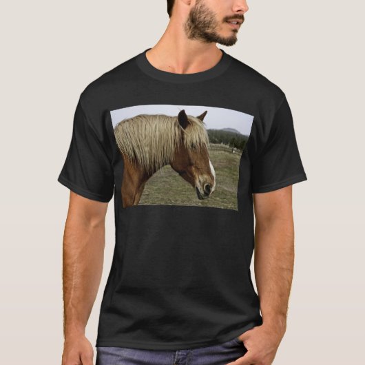 Goldenes Pferd T-Shirt (Vorderseite)