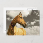 Goldenes Pferd Turkmenistans Postkarte (Vorne/Hinten)