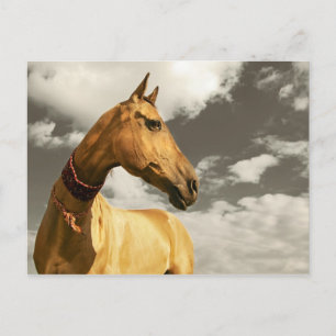 Goldenes Pferd Turkmenistans Postkarte