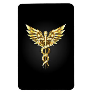 Goldenes polygonales Symbol Caduceus Magnet