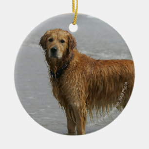 Goldenes Retreiver im Meer Keramikornament