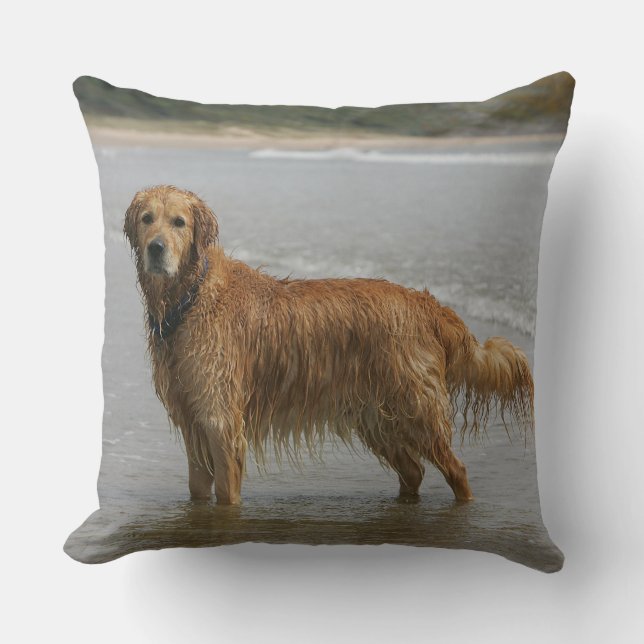 Goldenes Retreiver im Meer Kissen (Vorderseite)