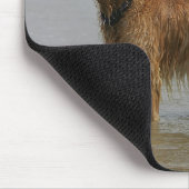 Goldenes Retreiver im Meer Mousepad (Ecke)