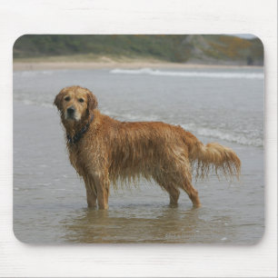 Goldenes Retreiver im Meer Mousepad