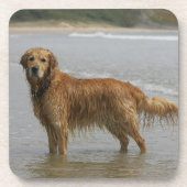Goldenes Retreiver im Meer Untersetzer (Vorderseite)