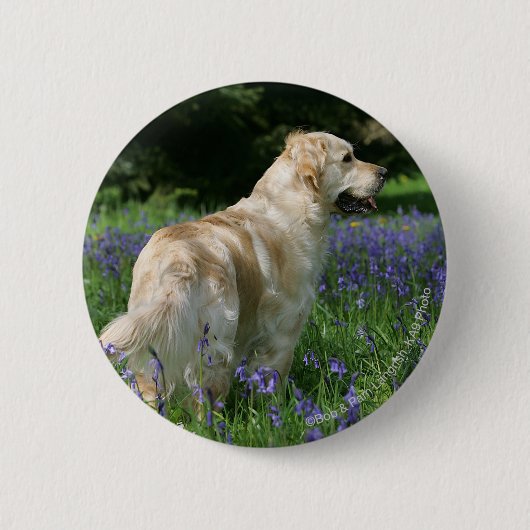 Goldenes Retreiver in den Blumen Button (Vorderseite)