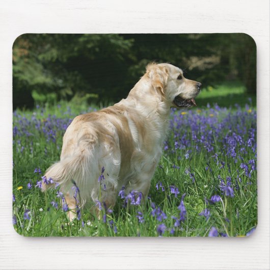 Goldenes Retreiver in den Blumen Mousepad (Vorne)