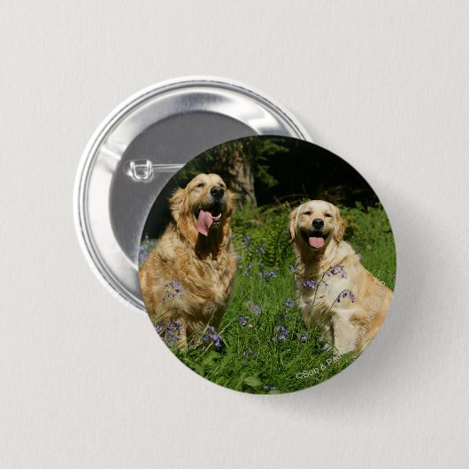 Goldenes Retreivers im Gras Button (Vorne & Hinten)