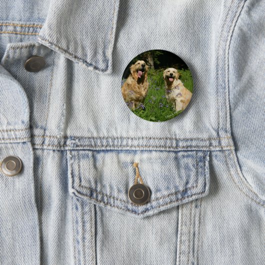 Goldenes Retreivers im Gras Button (Beispiel)