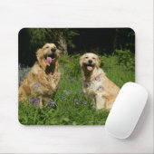 Goldenes Retreivers im Gras Mousepad (Mit Mouse)
