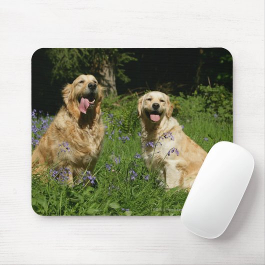 Goldenes Retreivers im Gras Mousepad (Mit Mouse)