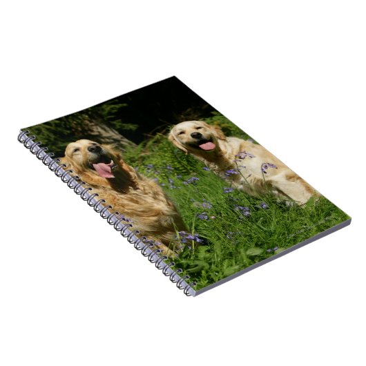 Goldenes Retreivers im Gras Notizblock (Rechte Seite)