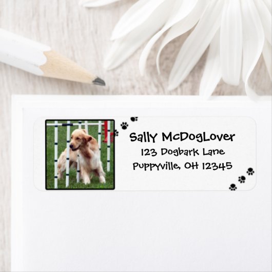 Goldenes Retriever-Agility (Insitu)