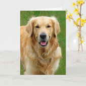 Goldenes Retriever-Beileid Karte (Gelbe Blume)