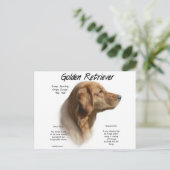 Goldenes Retriever Historisches Design Postkarte (Stehend Vorderseite)