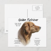 Goldenes Retriever Historisches Design Postkarte (Vorne/Hinten)