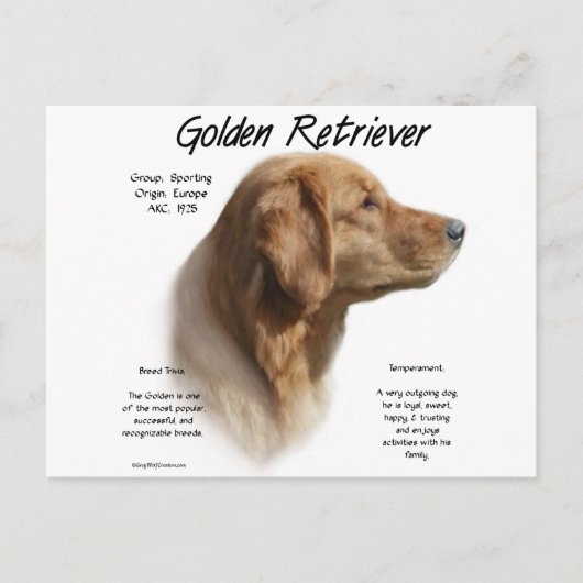 Goldenes Retriever Historisches Design Postkarte (Vorderseite)