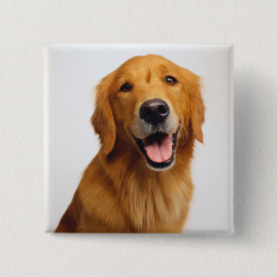 Goldenes Retriever-Lächeln Button