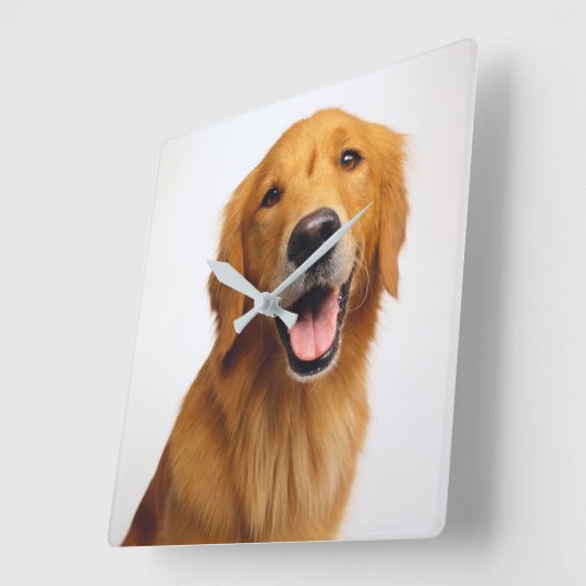 Goldenes Retriever-Lächeln Quadratische Wanduhr (Winkel)
