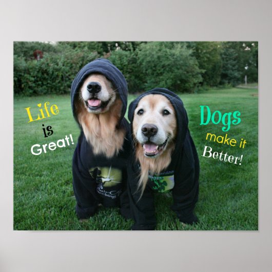 Goldenes Retriever Leben ist großartig Poster (Vorne)