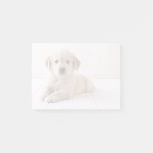 Goldenes Retriever-Leck Post-it Klebezettel (Vorderseite)
