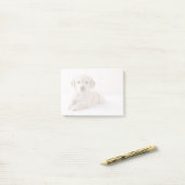 Goldenes Retriever-Leck Post-it Klebezettel (Auf Schreibtisch)