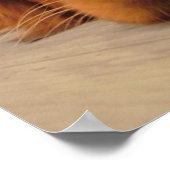 Goldenes Retriever Poster, Nose Poster (Ecke)