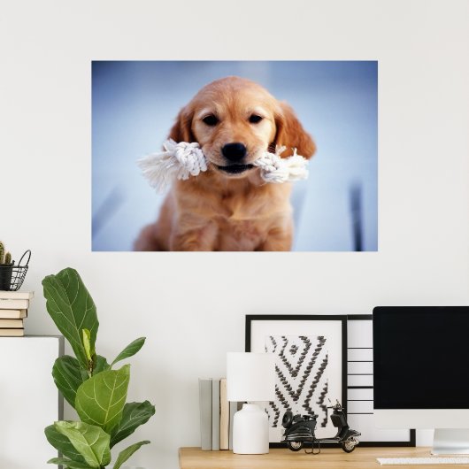 Goldenes Retriever-Poster Poster (Heimbüro)