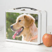 Goldenes Retriever-Profil mit Zunge-Out Metall Brotdose (Beispiel)