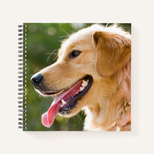 Goldenes Retriever-Profil mit Zungenausschnitt Notizblock