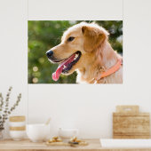 Goldenes Retriever-Profil mit Zungenausschnitt Poster (Küche)