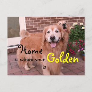 Goldenes Retriever-Zuhause-Zitat Postkarte