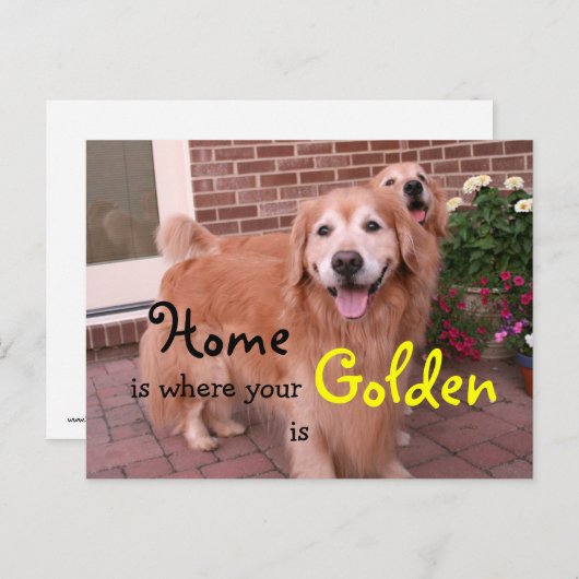Goldenes Retriever-Zuhause-Zitat Postkarte (Vorne/Hinten)