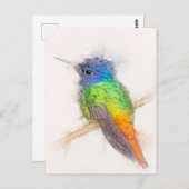 Goldenes Sapphire Hummingbird Portrait Postkarte (Vorne/Hinten)